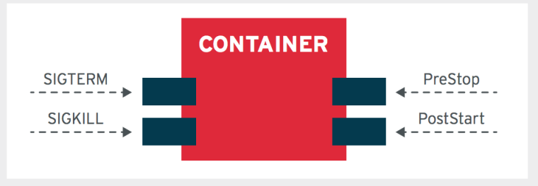 LIFE-CYCLE CONFORMANCE PRINCIPLE (LCP)