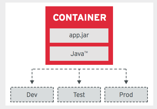 IMAGE IMMUTABILITY PRINCIPLE (IIP)