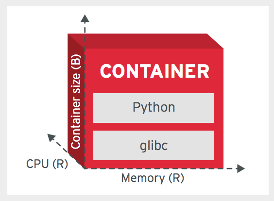 RUNTIME CONFINEMENT PRINCIPLE (RCP)